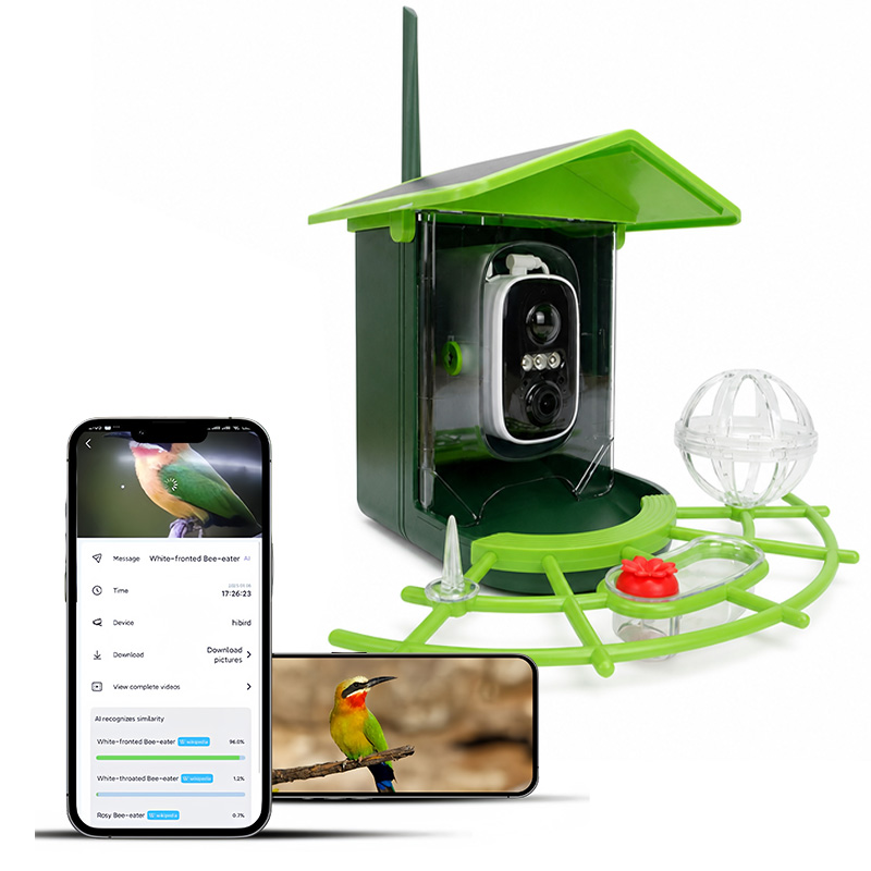 Bird Feeder Camera Wifi Smart Ai - กล้อง WiFi อัจฉริยะสำหรับป้อนอาหารนกพลังงานแสงอาทิตย์ พร้อมระบบ AI จดจำนก