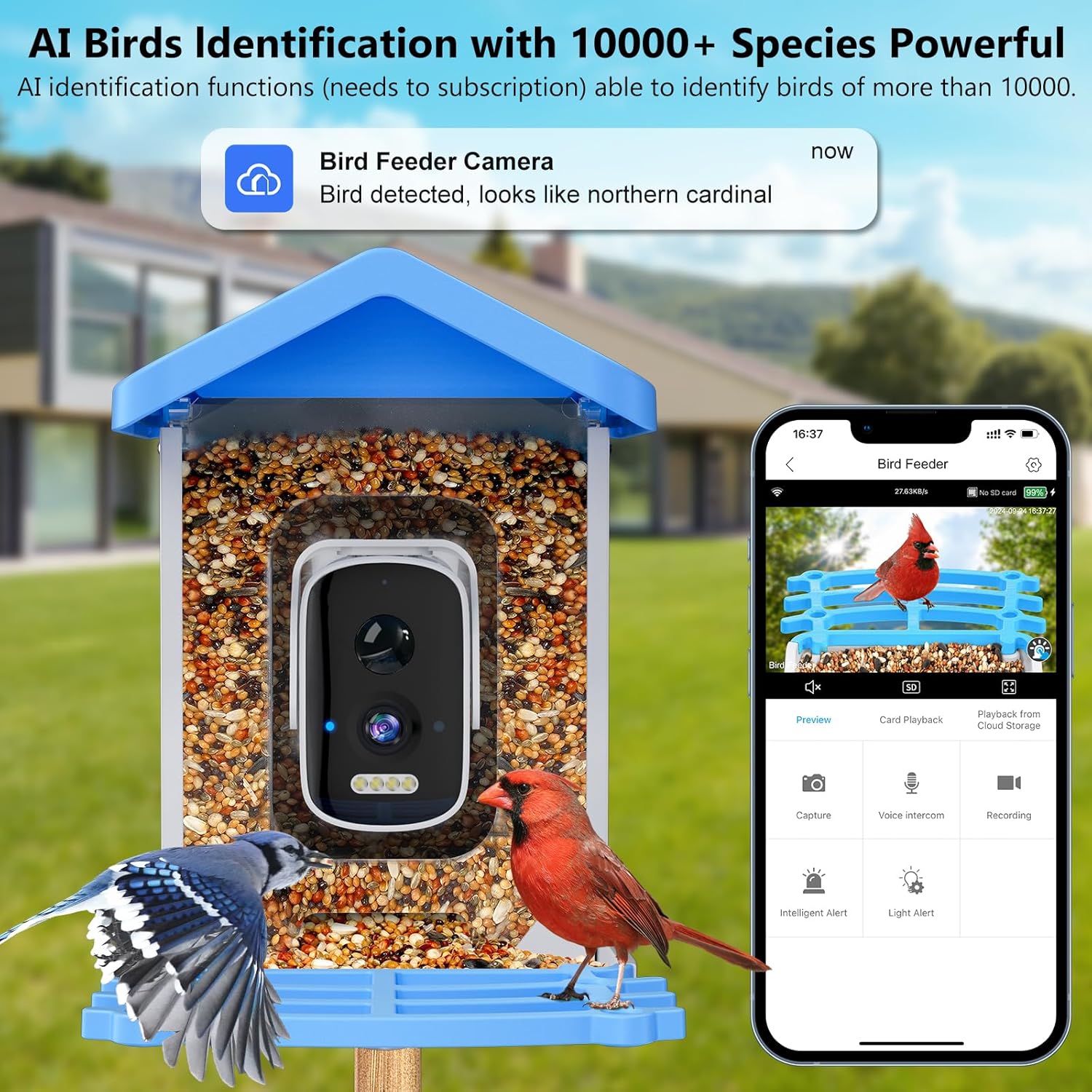 Bird Feeder Camera Wifi Smart Ai - เครื่องให้อาหารนกอัจฉริยะพร้อมกล้อง AI ระบุชนิดนก พลังงานแสงอาทิตย์ ไร้สาย กล้องนก