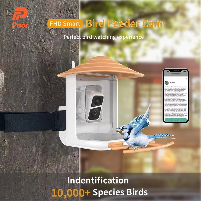 Bird Feeder Camera Wifi Smart Ai - เครื่องให้อาหารนกอัจฉริยะ 2 ลิตร IP66 พร้อมกล้องไร้สาย WiFi