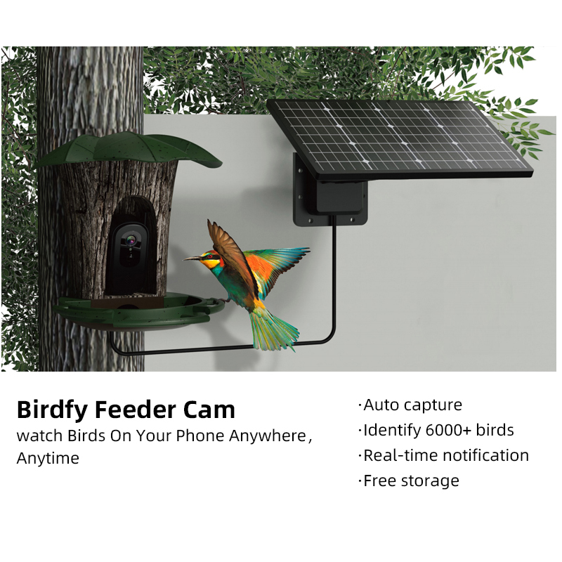 Bird Feeder Camera Wifi Smart Ai - RS1 Bird Identification กล้องกันน้ํา 2MP 6W
