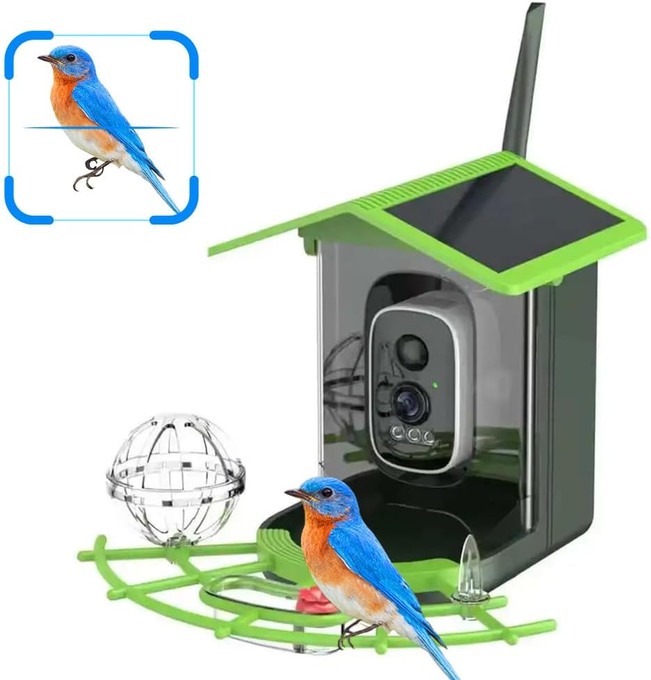 Bird Feeder Camera Wifi Smart Ai - แอปดูนกแบบเรียลไทม์ผ่าน WIFI กล้องติดตั้งที่ให้อาหารนก มองเห็นสีได้ในเวลากลางคืน ระบบ AI