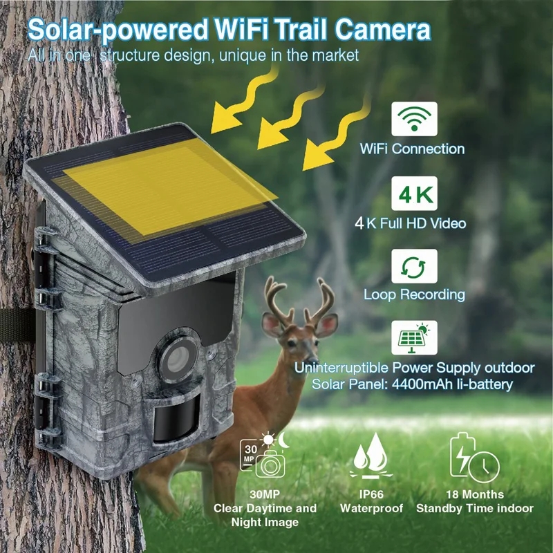 Trail Camera Solar Panel Powered - กล้องติดตามสัตว์ป่ากลางคืน 4K WiFi พลังงานแสงอาทิตย์ กันน้ำ IP66