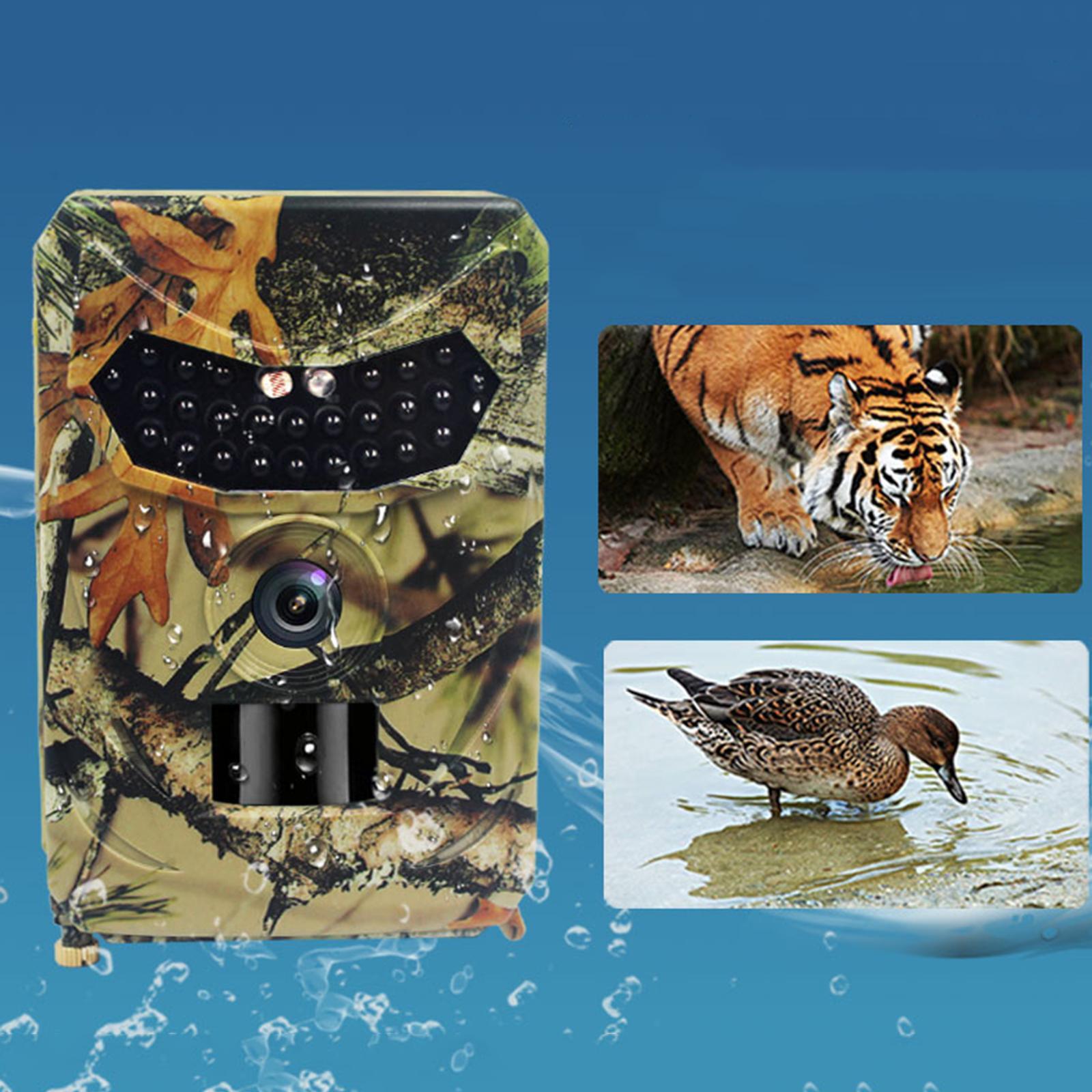 Night Vision Trail Camera Infrared Leds - กล้องติดตามสัตว์ PR100 กล้องถ่ายภาพกลางคืน 940nm อินฟราเรด LED