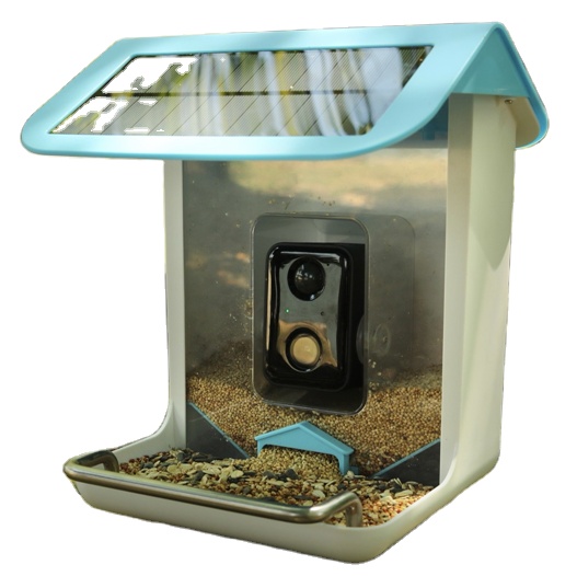 กล้องไวไฟสำหรับสัตว์ป่ากลางแจ้ - Bird Feeder Camera Wifi Smart Ai บทวิจารณ์และราคา