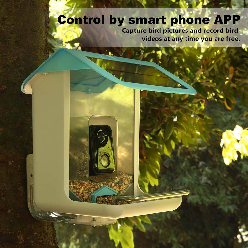 กล้องไวไฟสำหรับสัตว์ป่ากลางแจ้ - Bird Feeder Camera Wifi Smart Ai บทวิจารณ์และราคา