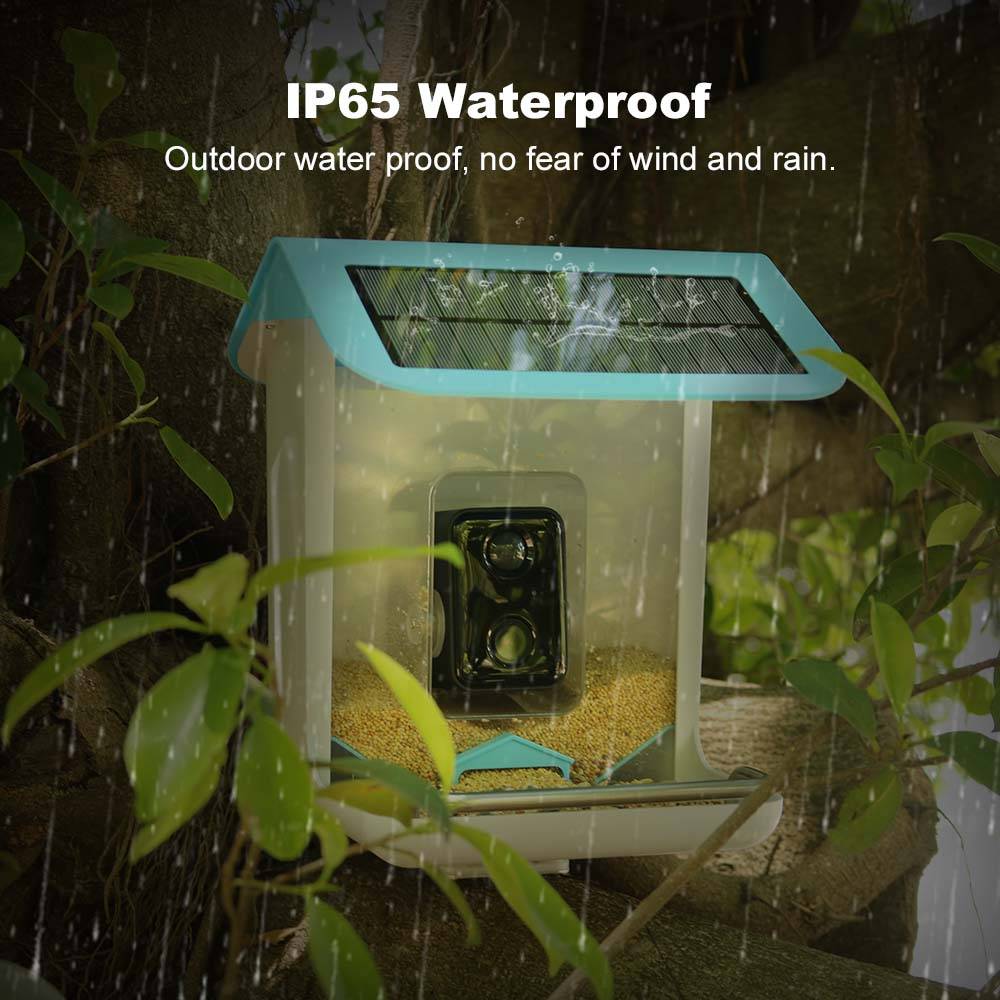 กล้องไวไฟสำหรับสัตว์ป่ากลางแจ้ - Bird Feeder Camera Wifi Smart Ai บทวิจารณ์และราคา