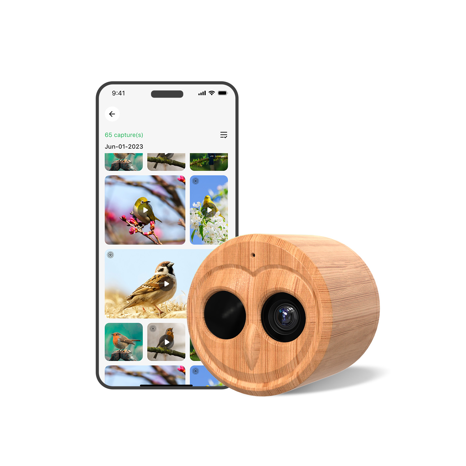 เครื่องให้อาหารนกอัจฉริยะ 4K พ - Bird Feeder Camera Wifi Smart Ai บทวิจารณ์และราคา