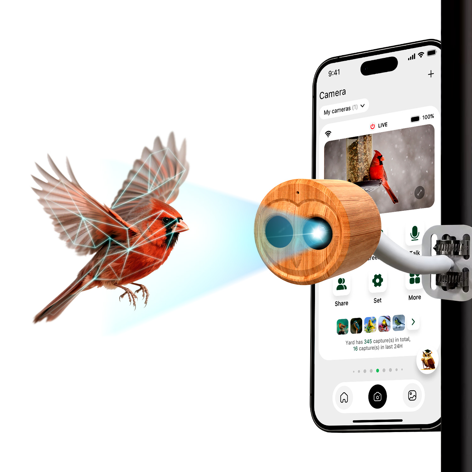 เครื่องให้อาหารนกอัจฉริยะ 4K พ - Bird Feeder Camera Wifi Smart Ai บทวิจารณ์และราคา
