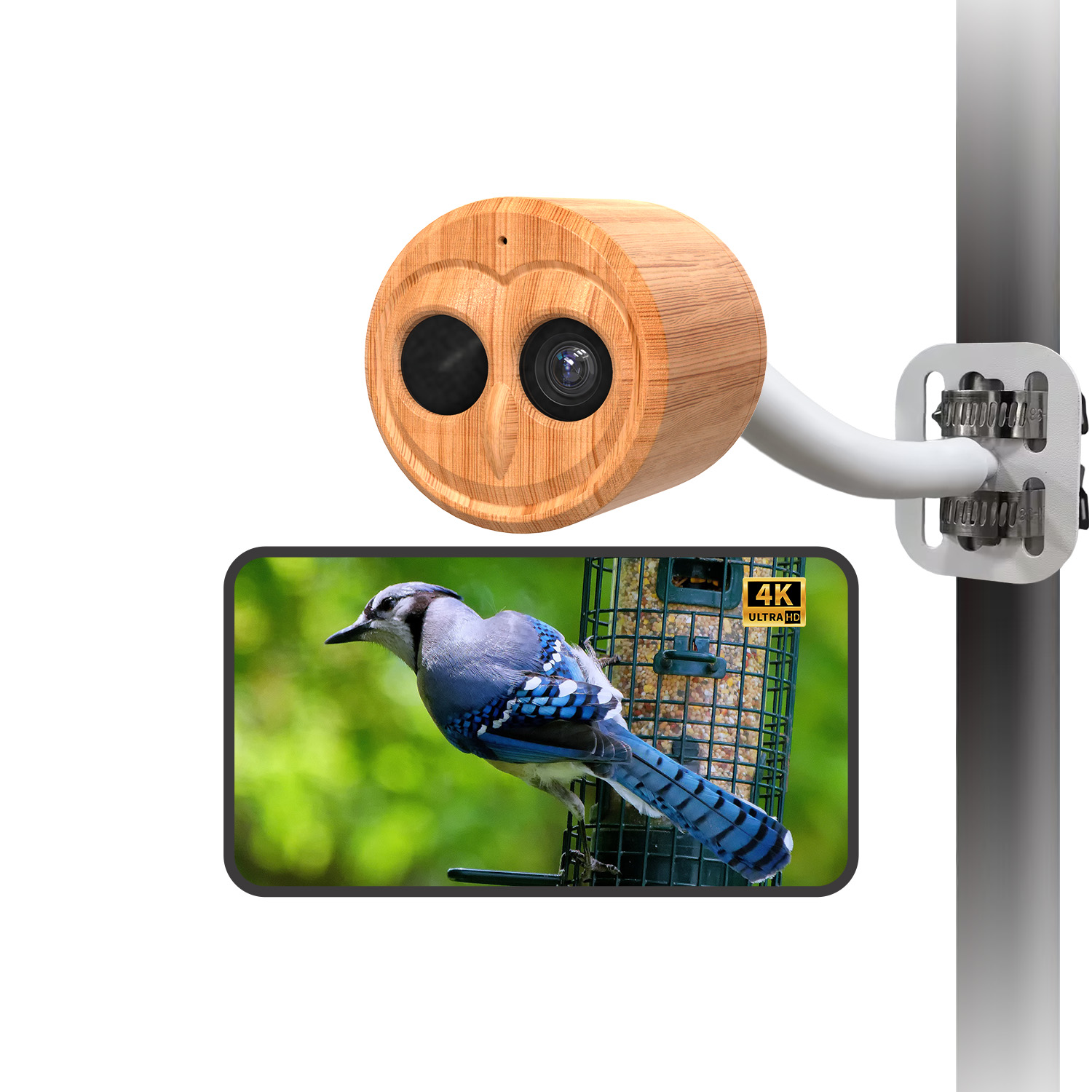 เครื่องให้อาหารนกอัจฉริยะ 4K พ - Bird Feeder Camera Wifi Smart Ai บทวิจารณ์และราคา