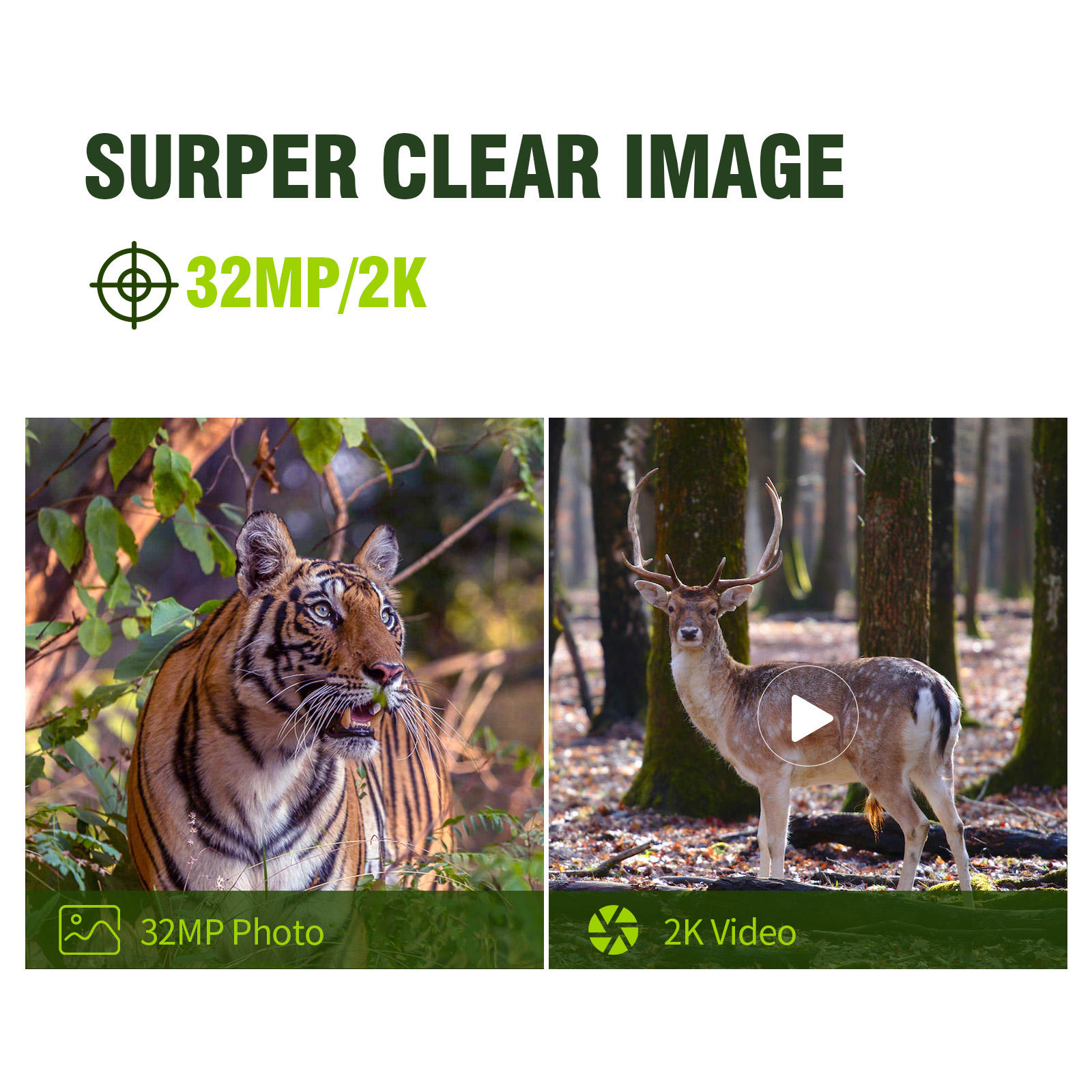 Keepguard 2K กล้องดักถ่ายภาพสั - Cellular Trail Camera Live Stream บทวิจารณ์และราคา