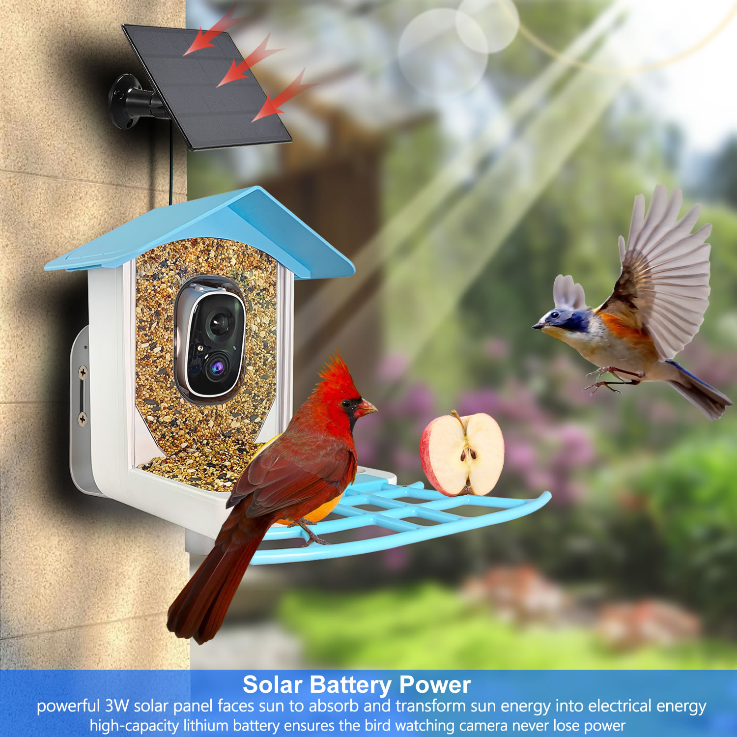 กล้องวงจรปิดไร้สายอัจฉริยะสำหร - Bird Feeder Camera Wifi Smart Ai บทวิจารณ์และราคา