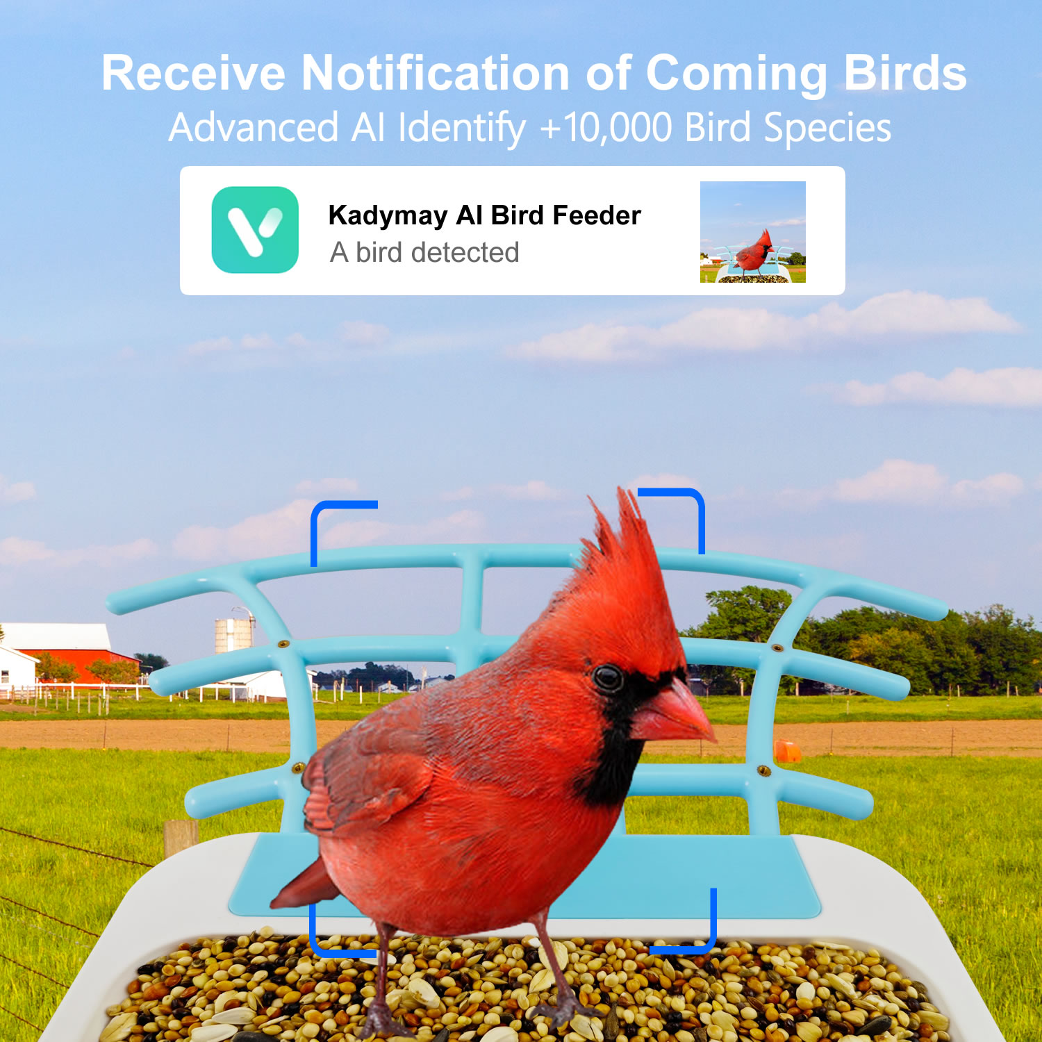 กล้องวงจรปิดไร้สายอัจฉริยะสำหร - Bird Feeder Camera Wifi Smart Ai บทวิจารณ์และราคา