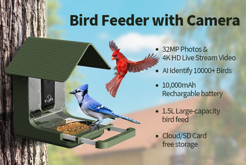 กล้องให้อาหารนกอัจฉริยะ 4K AI  - Bird Feeder Camera Wifi Smart Ai บทวิจารณ์และราคา