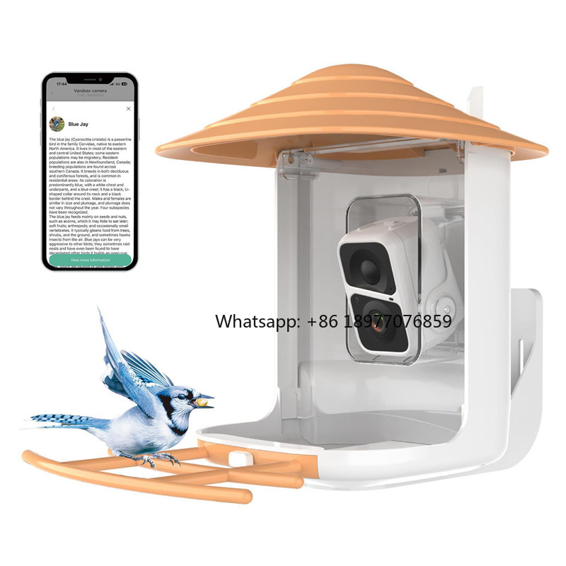 เครื่องให้อาหารนกอัจฉริยะ AI ป - Bird Feeder Camera Wifi Smart Ai บทวิจารณ์และราคา