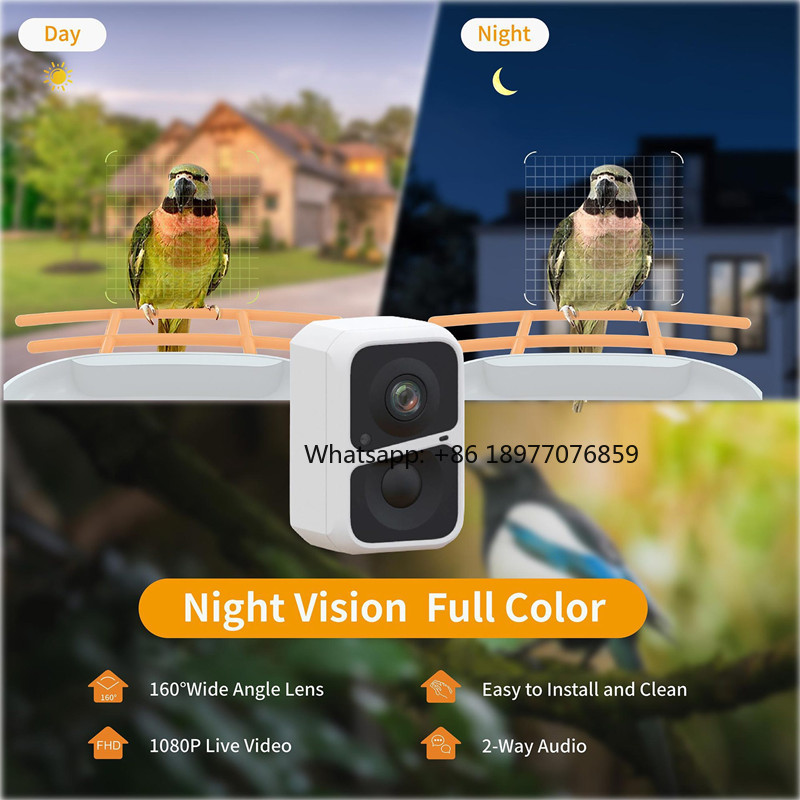 เครื่องให้อาหารนกอัจฉริยะ AI ป - Bird Feeder Camera Wifi Smart Ai บทวิจารณ์และราคา