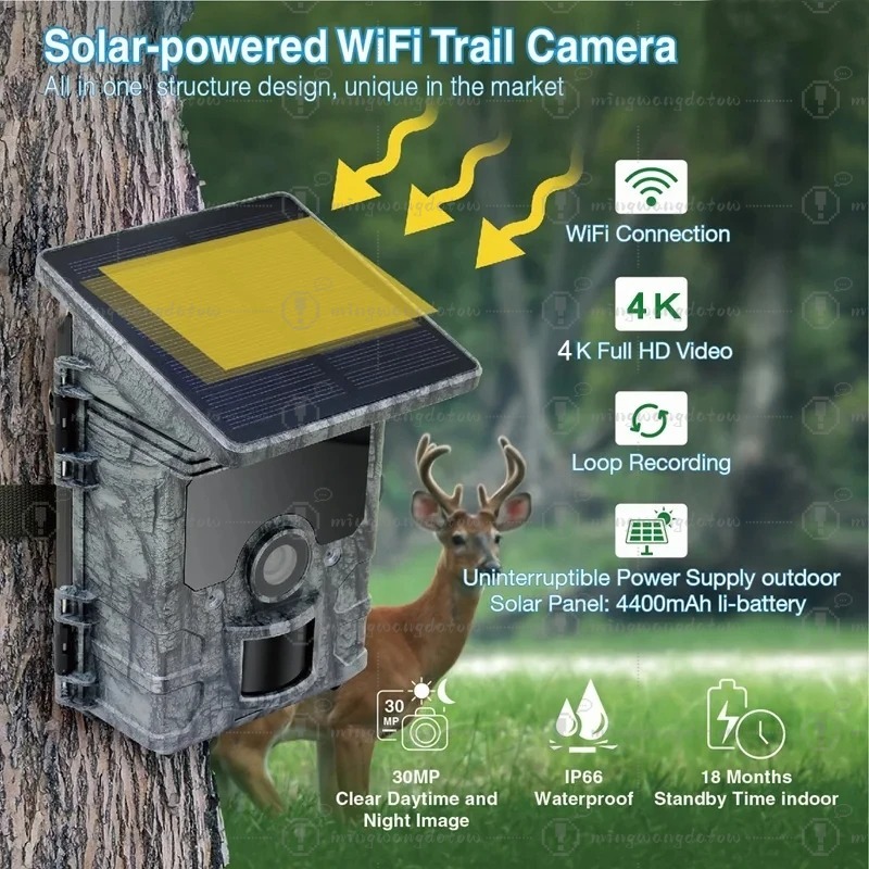 กล้องติดตามสัตว์ป่า 4K WiFi พล - Trail Camera Solar Panel Powered บทวิจารณ์และราคา