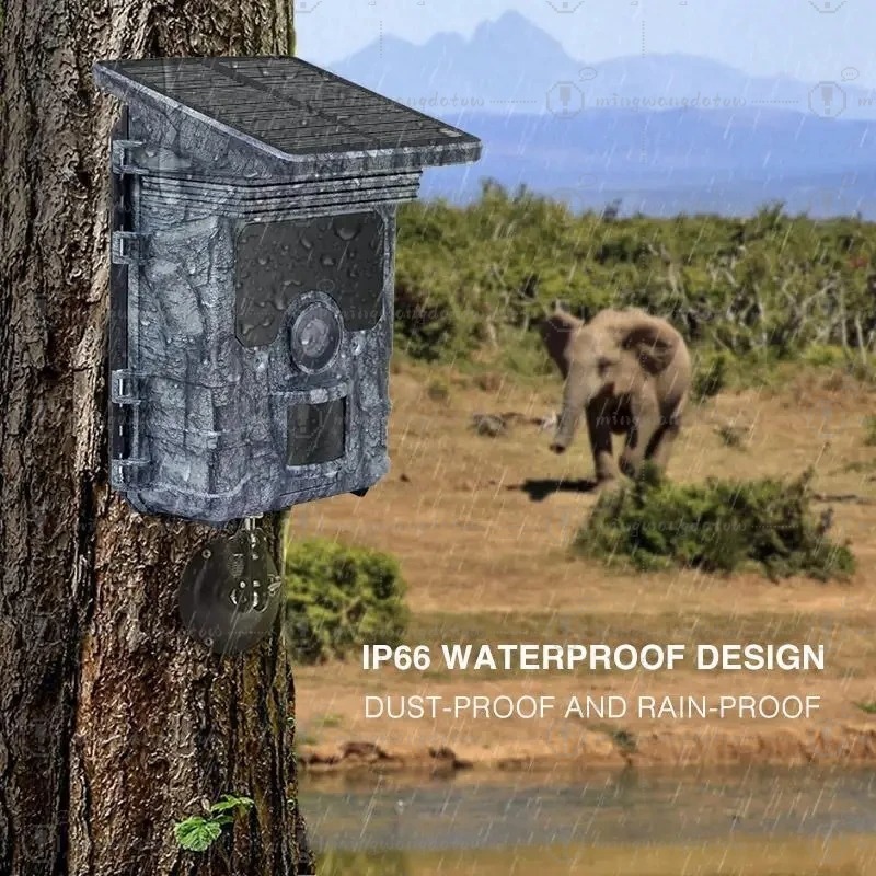 กล้องติดตามสัตว์ป่า 4K WiFi พล - Trail Camera Solar Panel Powered บทวิจารณ์และราคา
