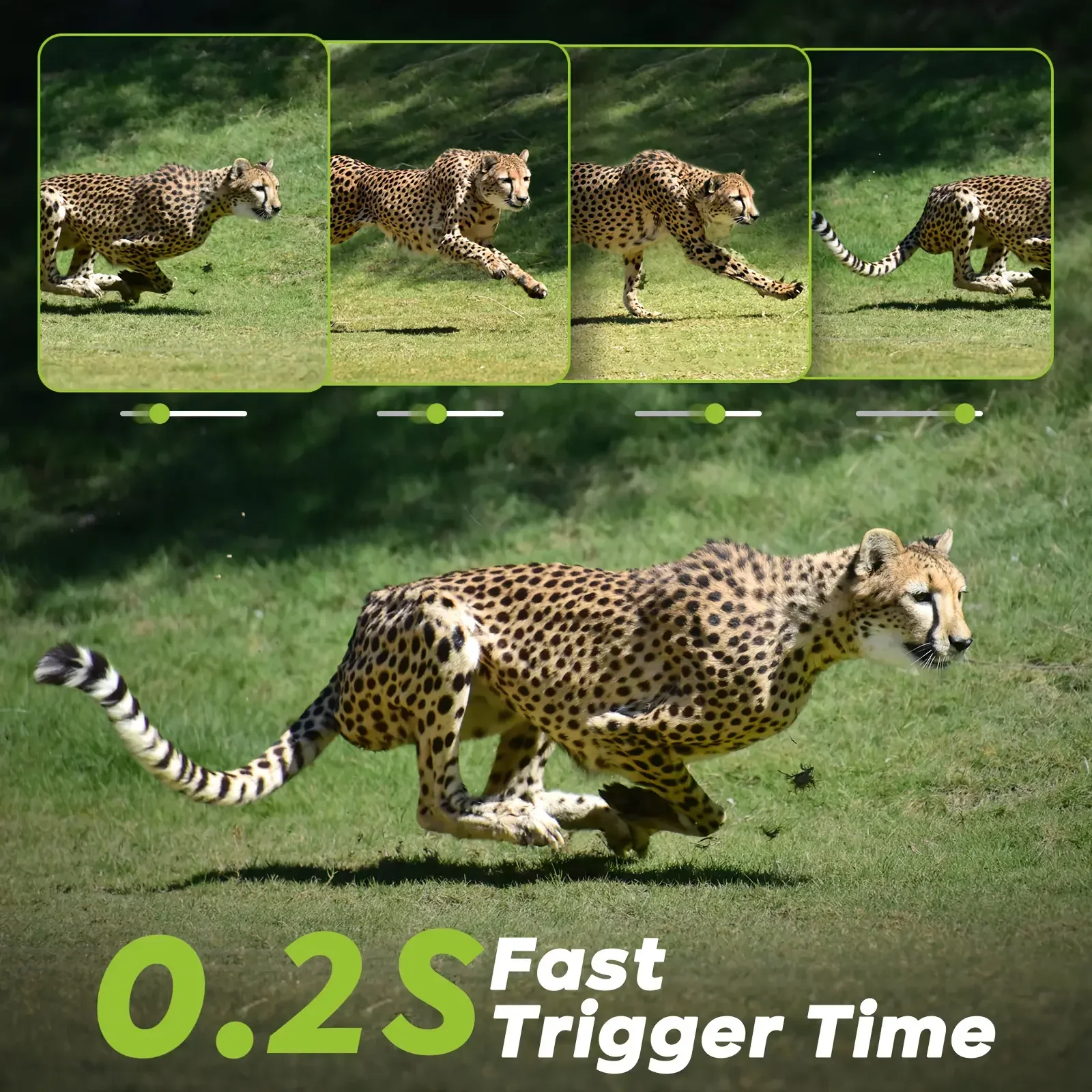 กล้องดักถ่ายภาพ 4G LTE ความละเ - Hunting Game Camera Night Vision No Glow บทวิจารณ์และราคา
