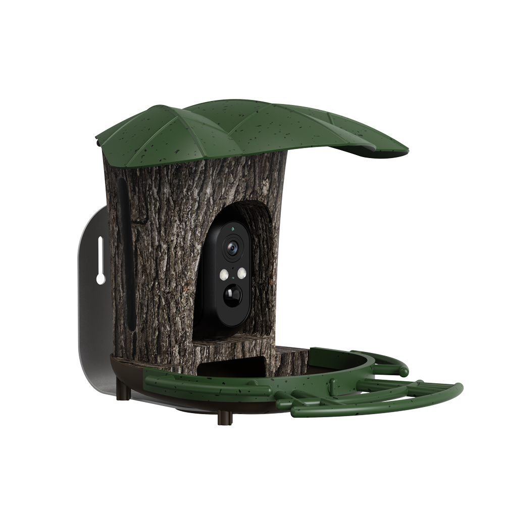 RS1 Bird Identification กล้องก - Bird Feeder Camera Wifi Smart Ai บทวิจารณ์และราคา