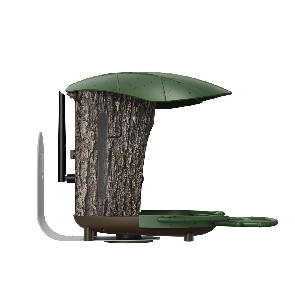 RS1 Bird Identification กล้องก - Bird Feeder Camera Wifi Smart Ai บทวิจารณ์และราคา