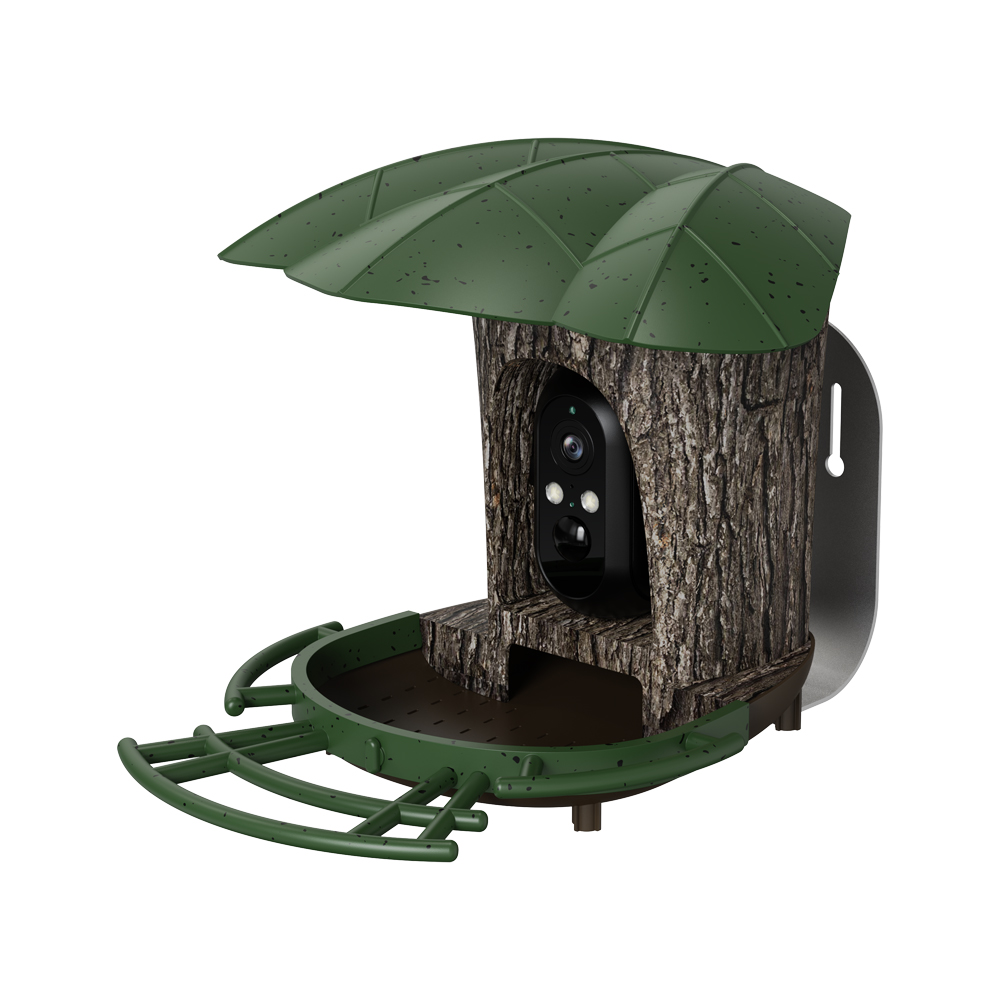 RS1 Bird Identification กล้องก - Bird Feeder Camera Wifi Smart Ai บทวิจารณ์และราคา