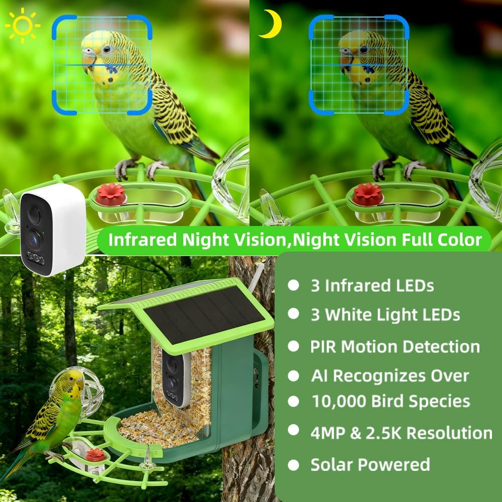 แอปดูนกแบบเรียลไทม์ผ่าน WIFI ก - Bird Feeder Camera Wifi Smart Ai บทวิจารณ์และราคา