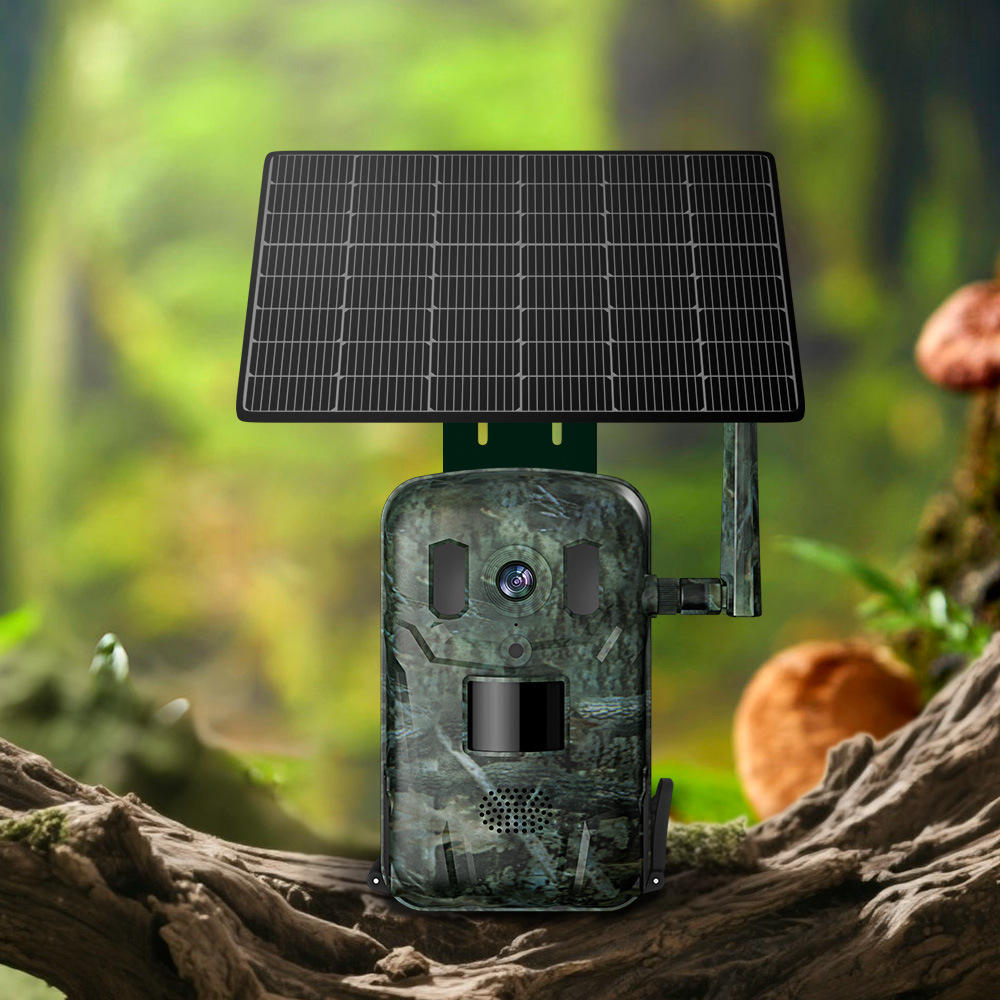 กล้องติดตามสัตว์ป่า 4G LTE Cel - Cellular Trail Camera Live Stream บทวิจารณ์และราคา