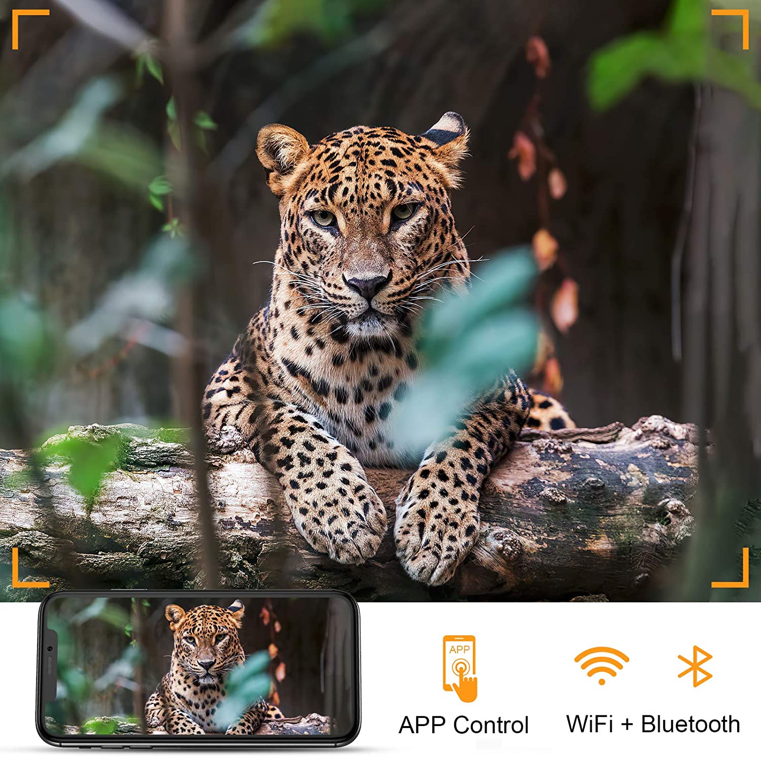 กล้องติดตามสัตว์ป่า 4K WIFI ถ่ - Trail Camera Wifi Bluetooth App Control บทวิจารณ์และราคา