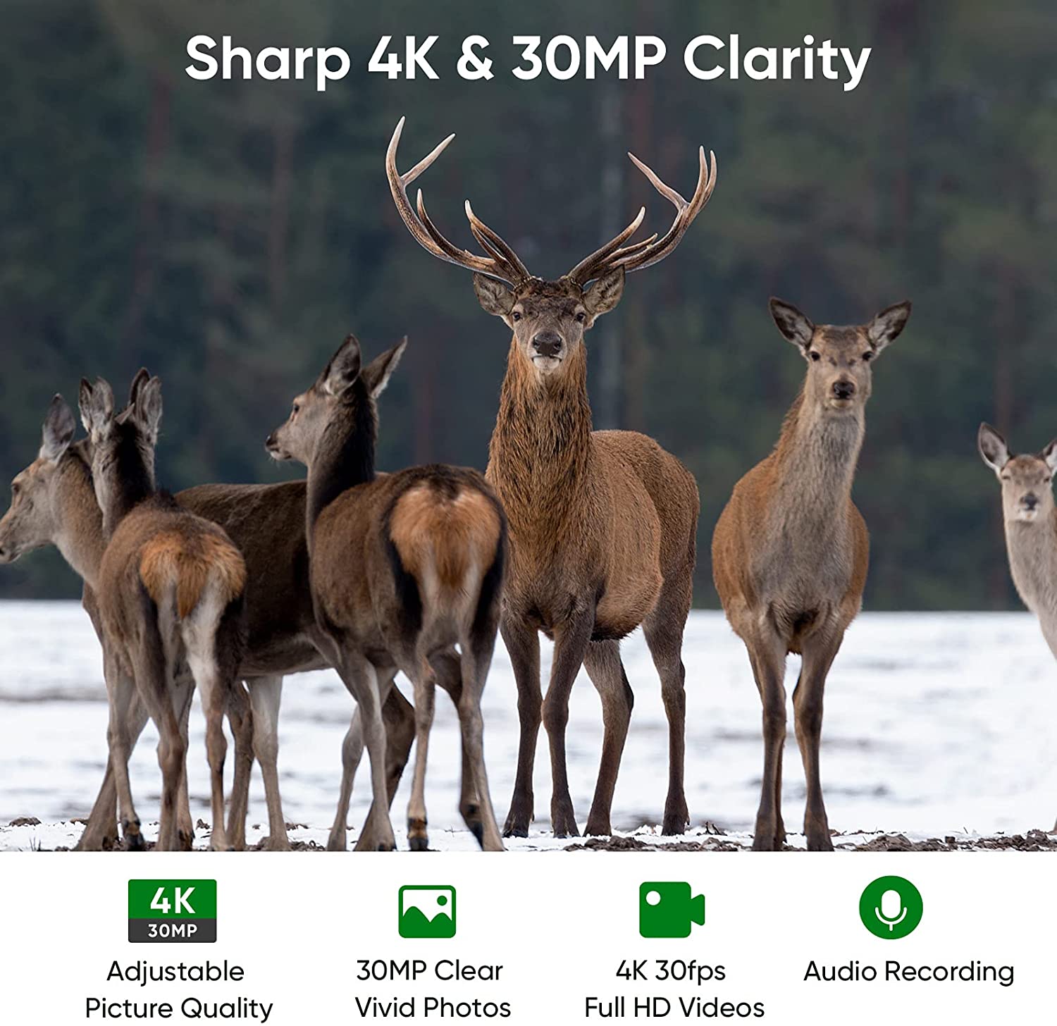กล้องติดตามสัตว์ป่า 4K WIFI ถ่ - Trail Camera Wifi Bluetooth App Control บทวิจารณ์และราคา