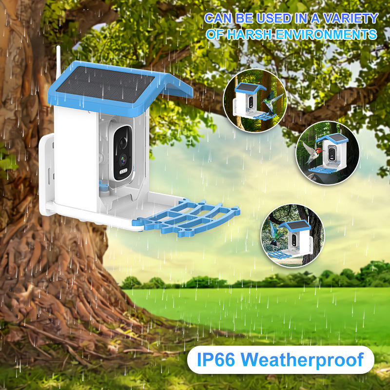 กล้องให้อาหารนกอัจฉริยะอัตโนมั - Bird Feeder Camera Wifi Smart Ai บทวิจารณ์และราคา