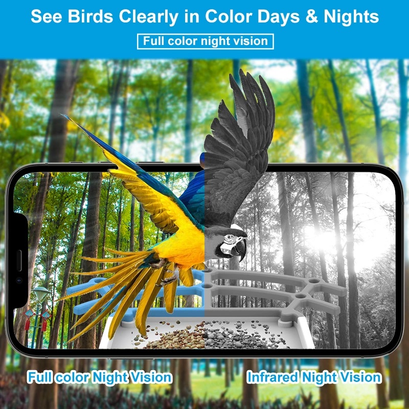 กล้องให้อาหารนกอัจฉริยะ AI Bir - Bird Feeder Camera Wifi Smart Ai บทวิจารณ์และราคา