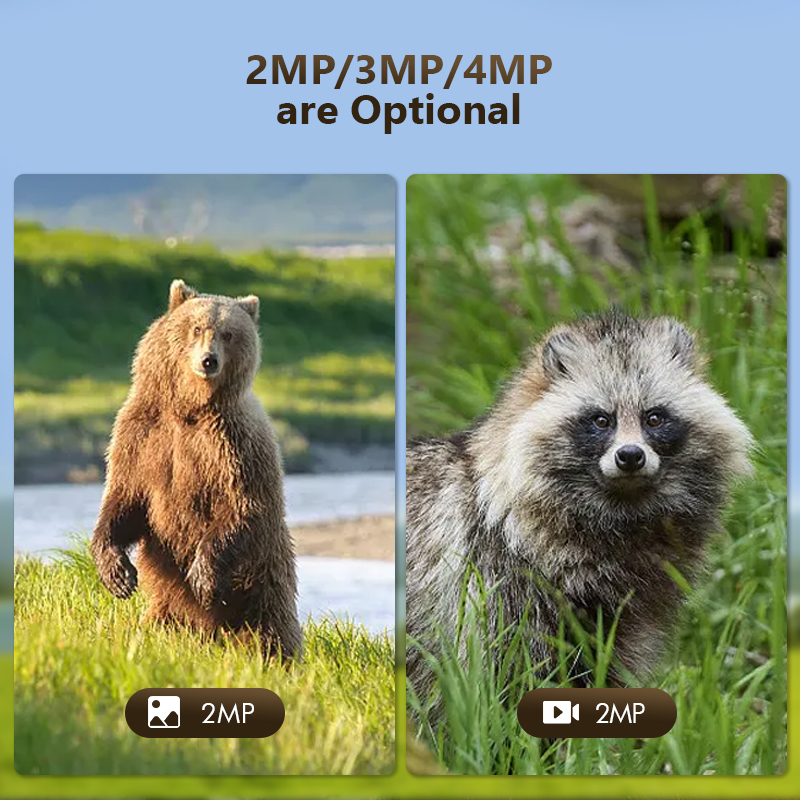 กล้องล่าสัตว์ป่ากลางแจ้ง4MP 4G - Trail Camera Solar Panel Powered บทวิจารณ์และราคา