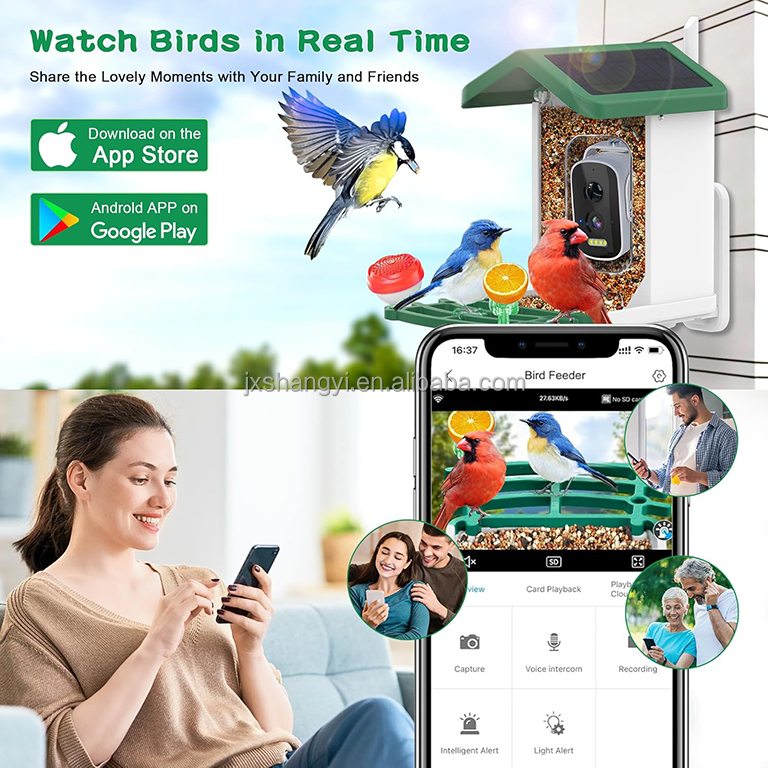 เครื่องให้อาหารนกอัจฉริยะแบบ W - Bird Feeder Camera Wifi Smart Ai บทวิจารณ์และราคา