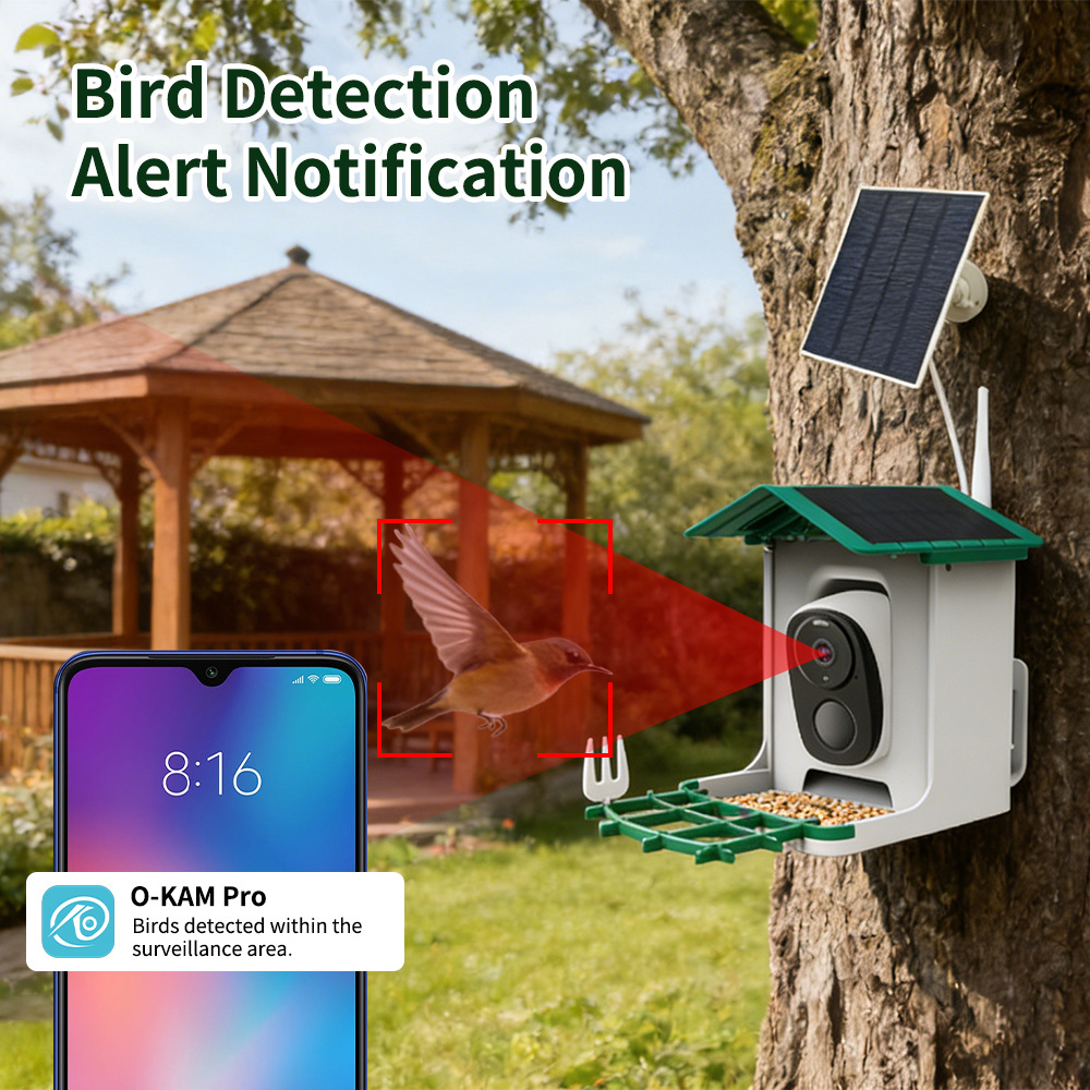 เครื่องให้อาหารนกอัจฉริยะ, กล้ - Bird Feeder Camera Wifi Smart Ai บทวิจารณ์และราคา