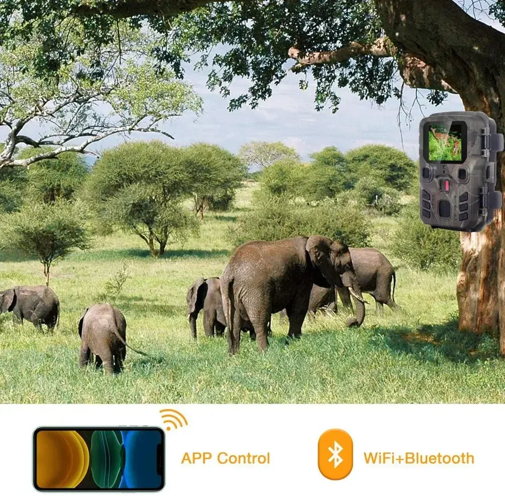กล้องติดตามสัตว์ป่า Wifi301 คว - Trail Camera Wifi Bluetooth App Control บทวิจารณ์และราคา