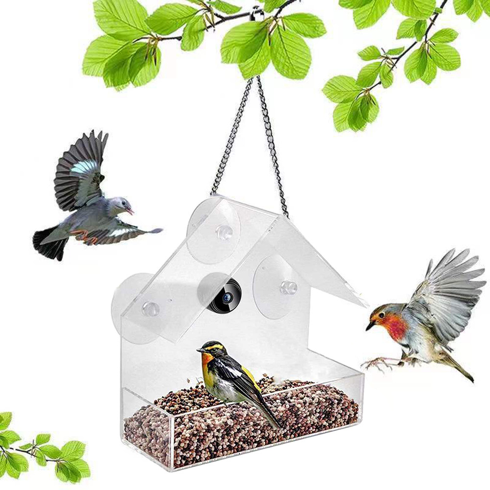 เครื่องให้อาหารนกอัจฉริยะพร้อม - Bird Feeder Camera Wifi Smart Ai บทวิจารณ์และราคา