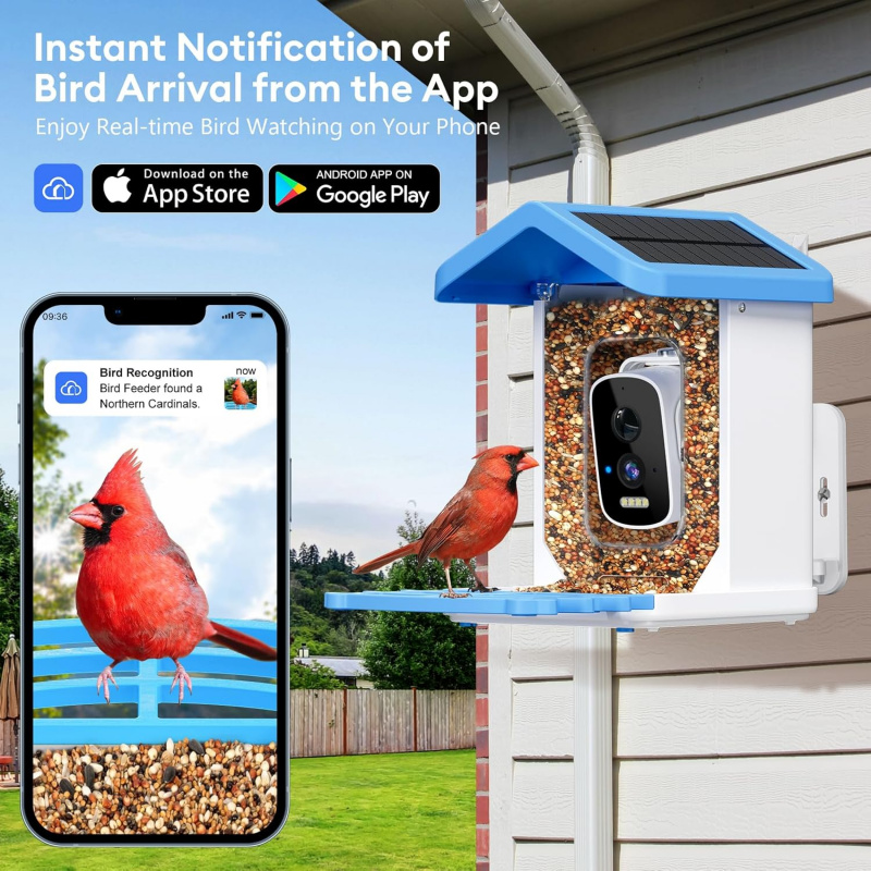 เครื่องให้อาหารนกอัจฉริยะแบบ W - Bird Feeder Camera Wifi Smart Ai บทวิจารณ์และราคา