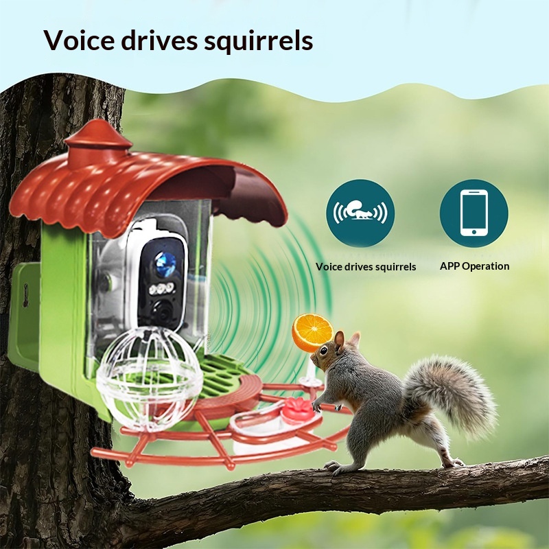 เครื่องให้อาหารนกอัตโนมัติพลัง - Bird Feeder Camera Wifi Smart Ai บทวิจารณ์และราคา