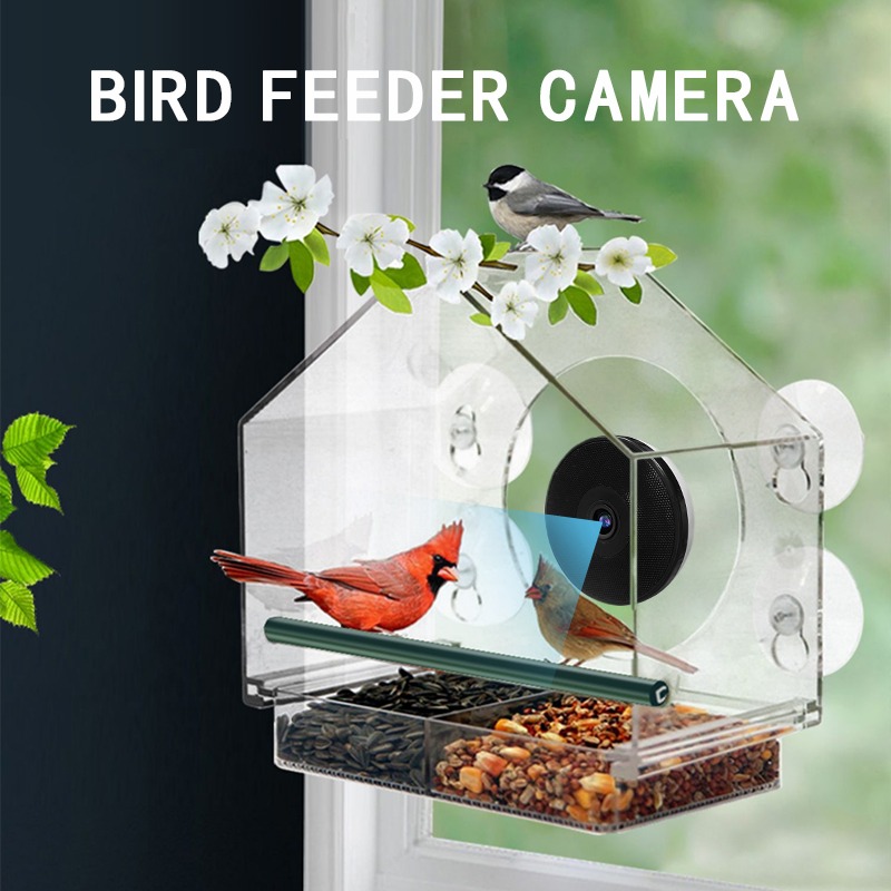 กล้องให้อาหารนกอัจฉริยะพร้อมระ - Bird Feeder Camera Wifi Smart Ai บทวิจารณ์และราคา